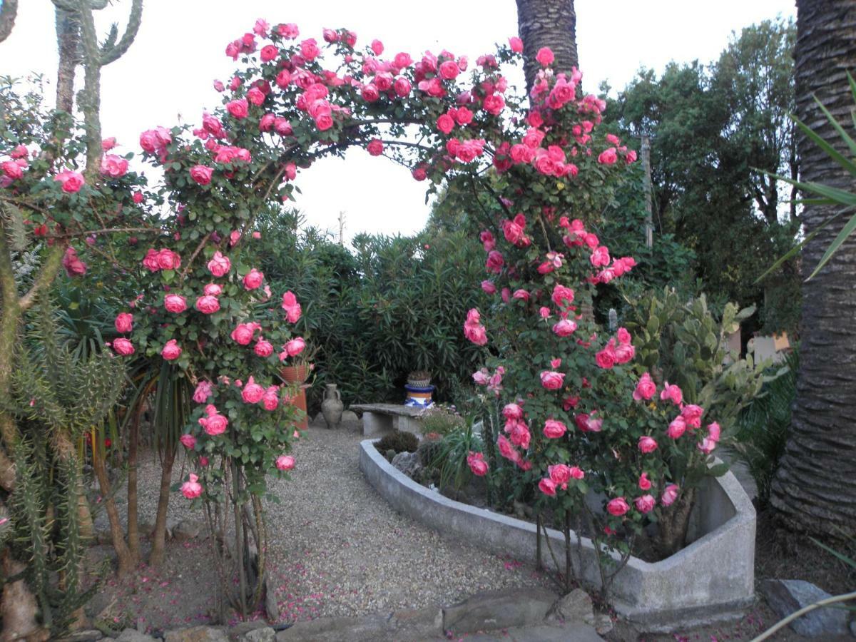 Villa Ingrid Gassin Exteriör bild